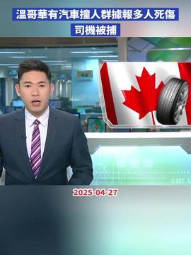 顺德热点爆料最新消息,揭秘顺德美食与文化新动态